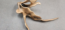 Load image into Gallery viewer, Modern Organic Flowing Abstract Art Sculpture
